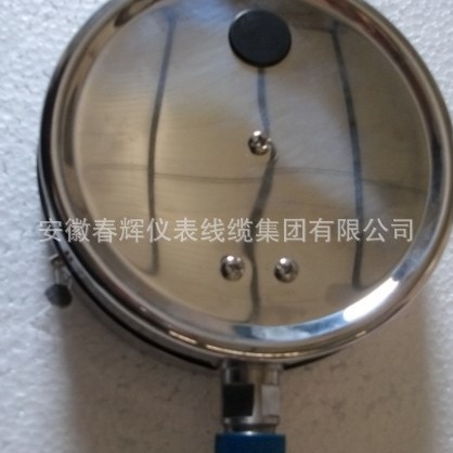 YTQ-60、YTQ-100、YTQ-150氢气压力表316不锈钢压力表