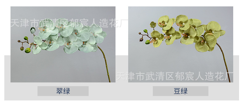 色卡_03.jpg