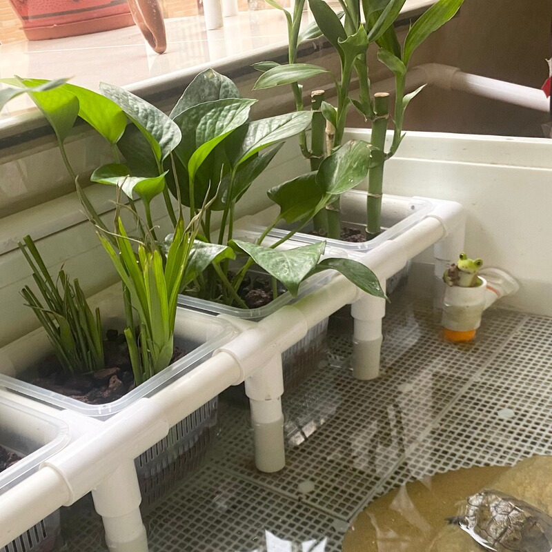 Simple Hydroponic Green Plant Landscaping Planting Basket Stand Turtle Tank Fixed Fish Tank Planting Support Rack Others