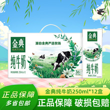 12月伊利金典纯牛奶营养早餐纯牛奶250ml*12盒纯牛奶多规格可选