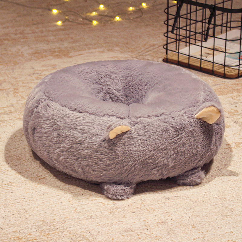 회색 고양이