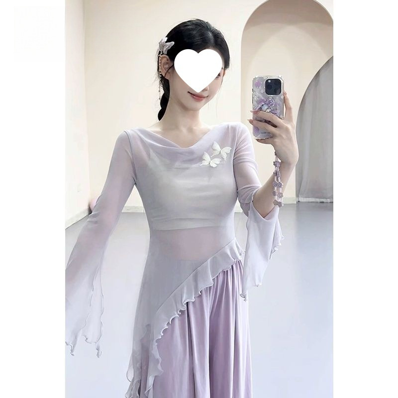 Classical Dance Clothing, Elegant Mesh Swing Collar Butterfly Top, Chinese Dance Modern Dance Body Training Clothing, Gauze Clothing Cross-Border