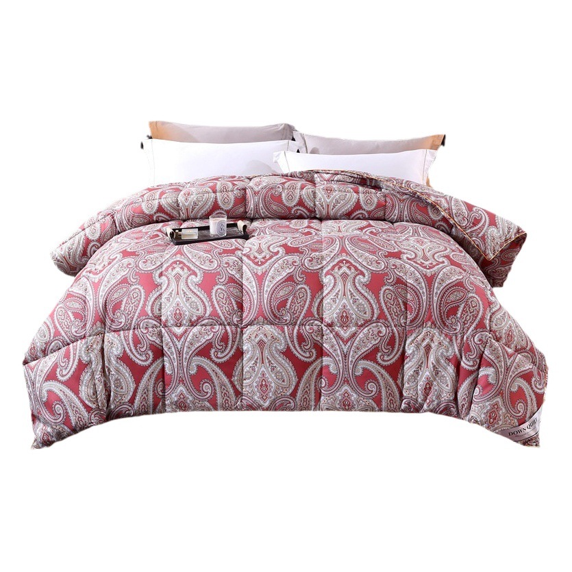Tiktok Shein Temu Cross-Border Home Textile Foreign Trade Feather Velvet Quilt Winter Quilt Gift Quilt Core Live Streaming on Video Account