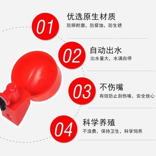 Automatic waterer for poultry chickens ducks drinking pigeon waterer chick drink quail bird chicken use small farming