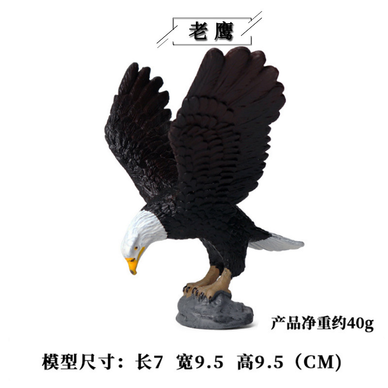 Modelo de simulación de aves sólidas para niños juguete loro Águila Flamingo Peacock Bird Toy Amazon transfronterizo