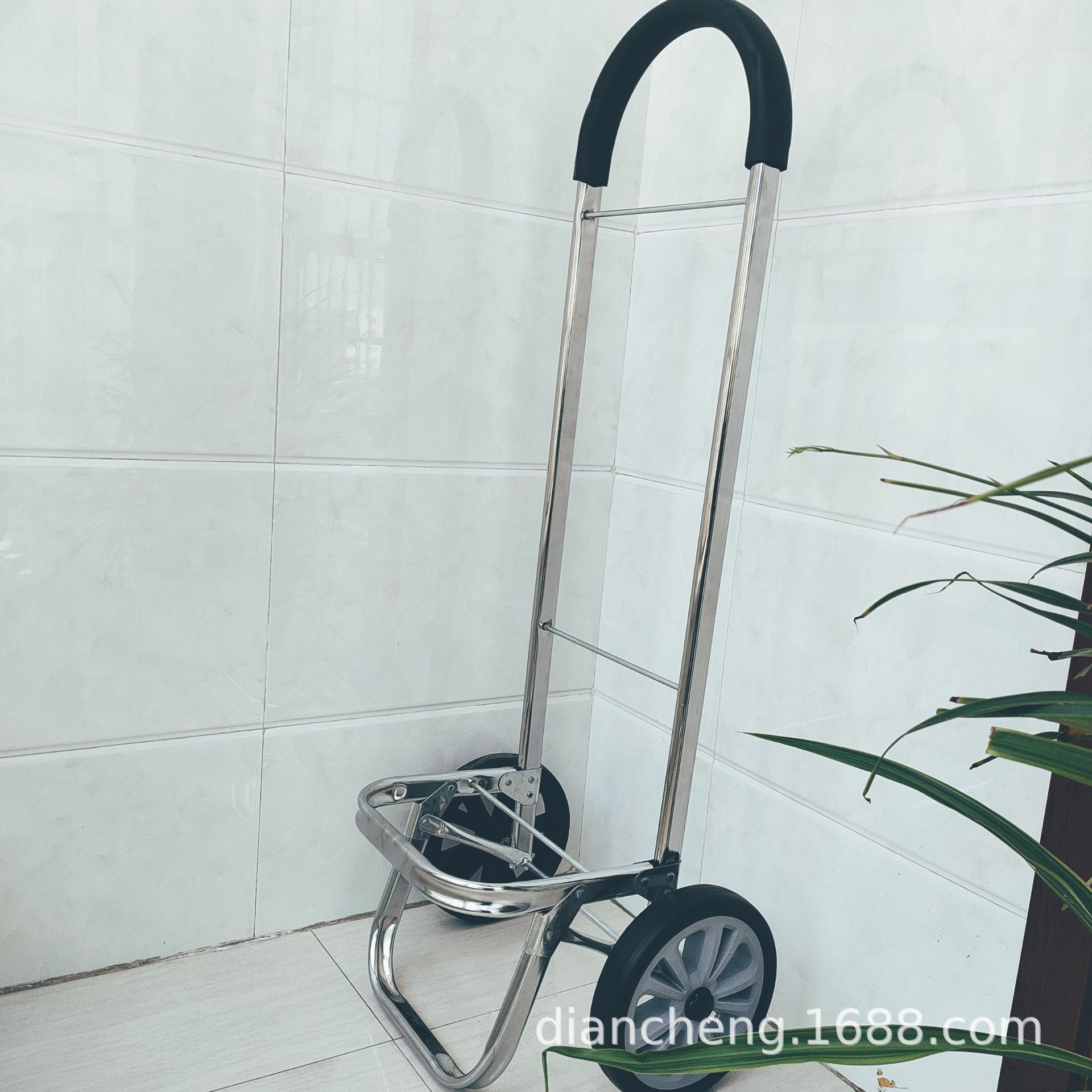 POMELO_20220513135008_fast