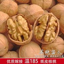 �½������K��Ƥ���� ��185��Ƥ������ �����缈 ���Ҙ��箔��Y��