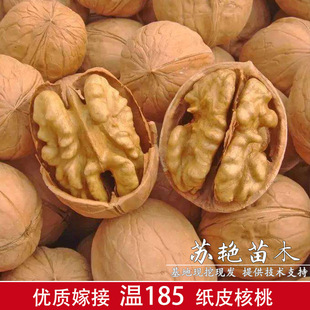 �½������K��Ƥ���� ��185��Ƥ������ �����缈 ���Ҙ��箔��Y��