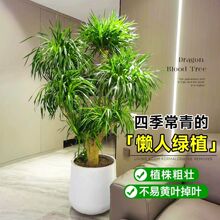 ��Ѫ��͏d�Gֲ���^��횘����F��͏d�Gֲ�҃ȴ�����Ѫ��ֲ������
