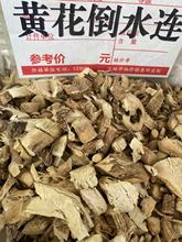 ��ҩ�Ļƻ���ˮ�� ����ͷ�ƻ���Զ־�� ������ �����Ƹ� �в�ҩ