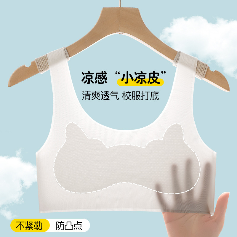 Girls' Underwear for Development Period, Seamless Anti-Bump Bra for Elementary School Students, 10-Year-Old Girls' Bra, Big Kids' Vest, Ice Silk, Summer Thin Style Girls' Underwear for Development Period, Seamless Anti-Bump Bra for Elementary School Students, 10-Year-Old Girls' Bra, Big Kids' Vest, Ice Silk, Summer Thin Style