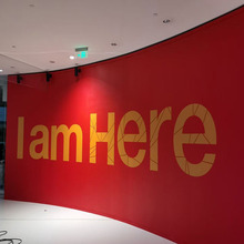 �ӹ�����b�އ����V�残����ƺ��z܇�N���汳�z�����ӡ