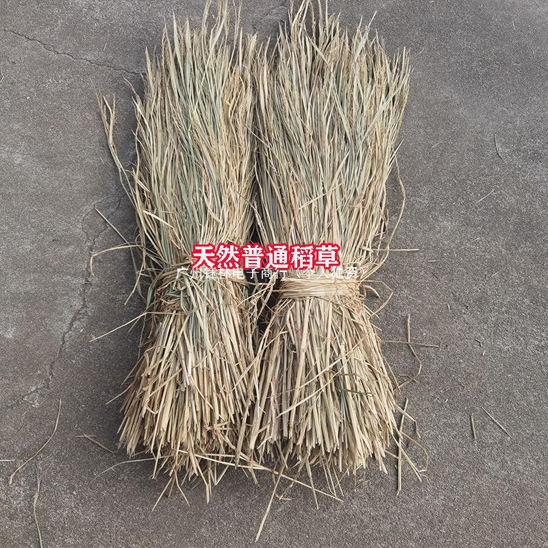 Straw Natural New Dry Grain Grass Hay Moldy Tofu Woven Pet Pet Nest Warm Factory Direct Cross-border