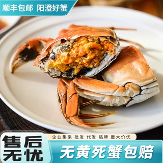 苏州大闸蟹抖音代发私域代发达人带货阳澄产地直发一蟹一扣可溯源