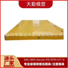 天勤模塑专业生产大型轻质防护密闭门模具 SMC人防门模具开模加工