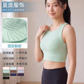 夏度运动内衣一体式固定杯防震高强度速干跑步健身美背运动文胸