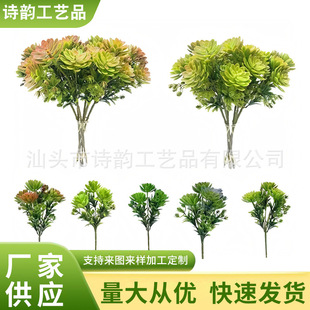�羳�������Gֲ����ɏ���������ϔ[�����҃���廨�쾰�b����l
