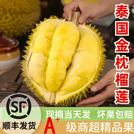 其他水果;哈密瓜;奇异果猕猴桃