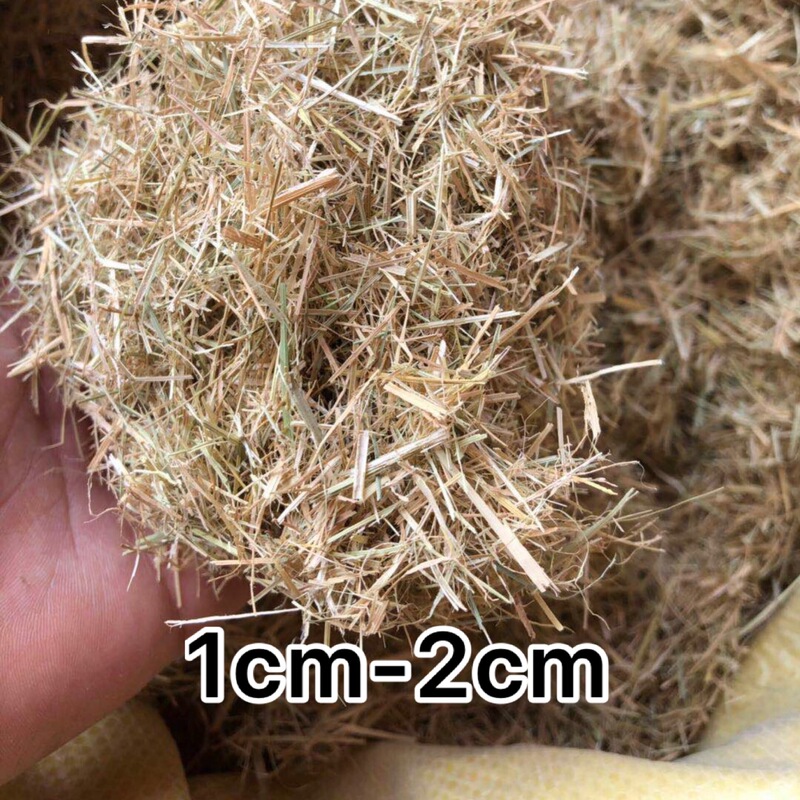 Dry Straw Fiber Rice Straw Ancient Building Powder Wall Decoration Broken Straw Greening Diatom Mud Rice
