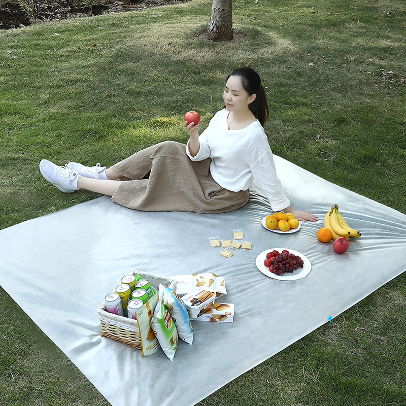 One-time picnic mat outdoor picnic portable barbecue picnic cloth beach waterproof mat restaurant hotel anti-stain tablecloth