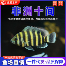 ʮ�g�~���޻��~�Ꭷ�^�p�~���w�~���͵�ˮ�~���������O��ֱ�l