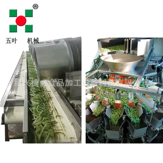 速冻果蔬加工设备 全自动蒸汽漂烫机 速冻蔬菜前处理成套流水线