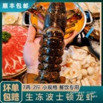 波士顿龙虾鲜活速冻大龙虾鳌虾熟冻帝王蟹澳洲龙虾餐饮自助可批发