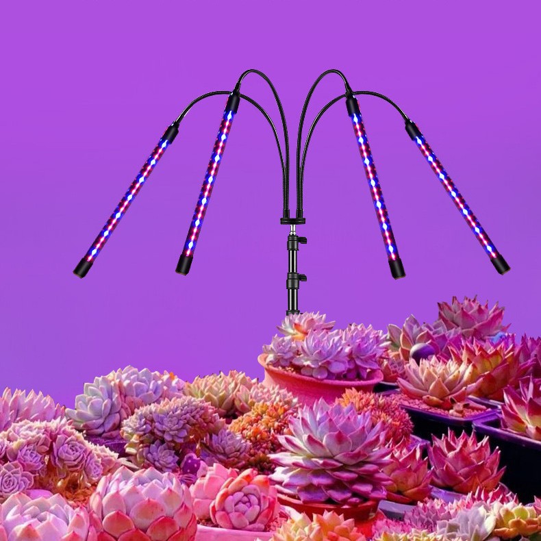 LED plant lamp, fill light, Amazon