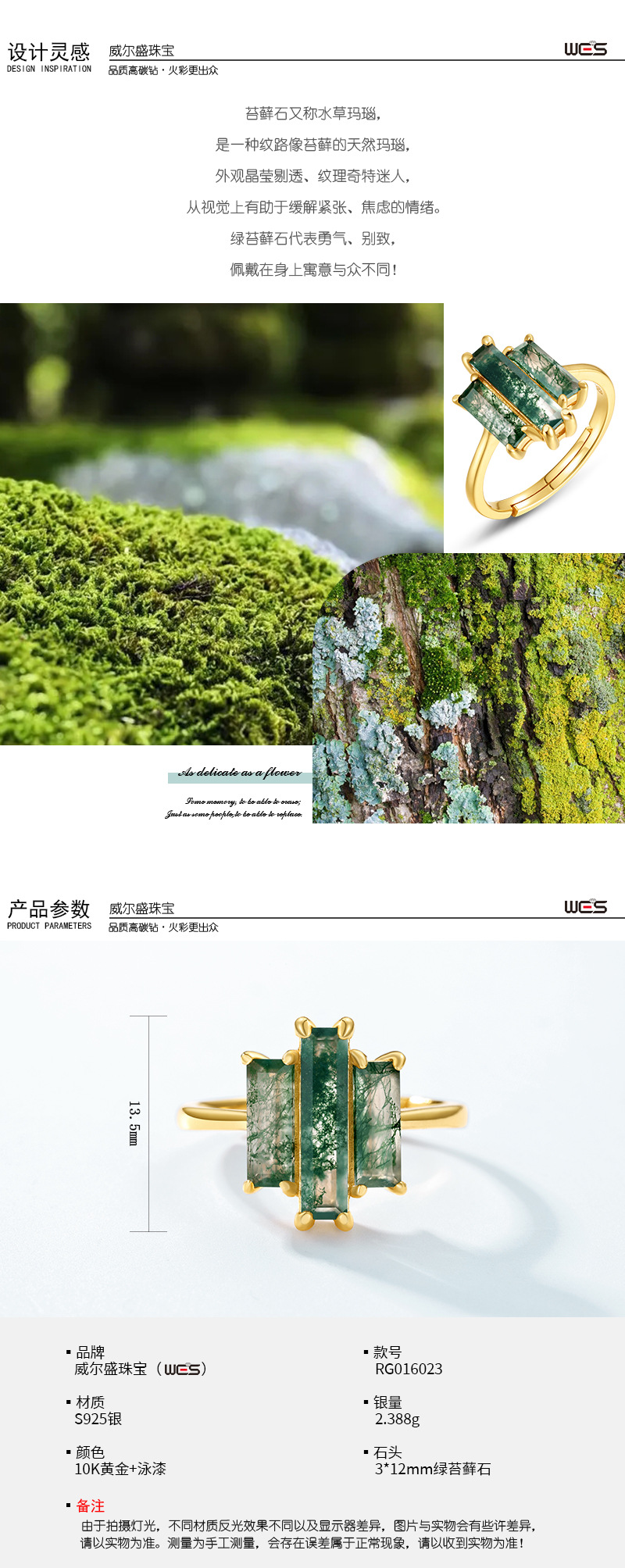 绿苔藓模版-WES_02.jpg