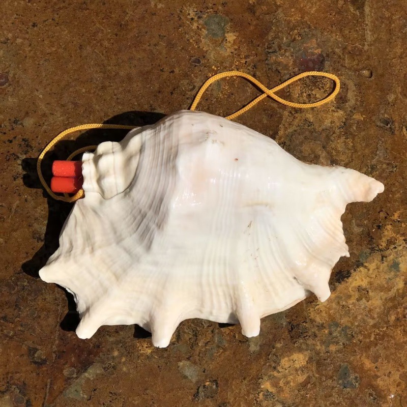 Red seven-corner snail whistle 18-20