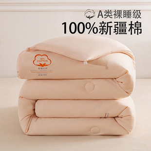 Autumn and Winter Household Quilt Xinjiang Cotton Winter Quilt Quilt Core Mother-In-Law Quilt Dormitory Universal Spring & Fall Quilt Winter Quilt