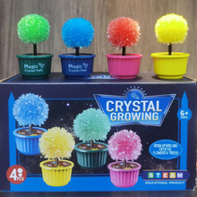 ���Q���crystal treeˮ����GrowGlowingCrystal��ͯ�YƷ�ӹ��ۼt