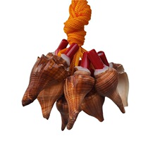 ��̖�t�㺣��̖ �t���ݿ��ں������Ӄ�ͯ���ؐ����ˇƷ