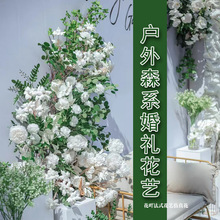 ĻYɭϵcbƷGɫɭϵ׾GYTˇ