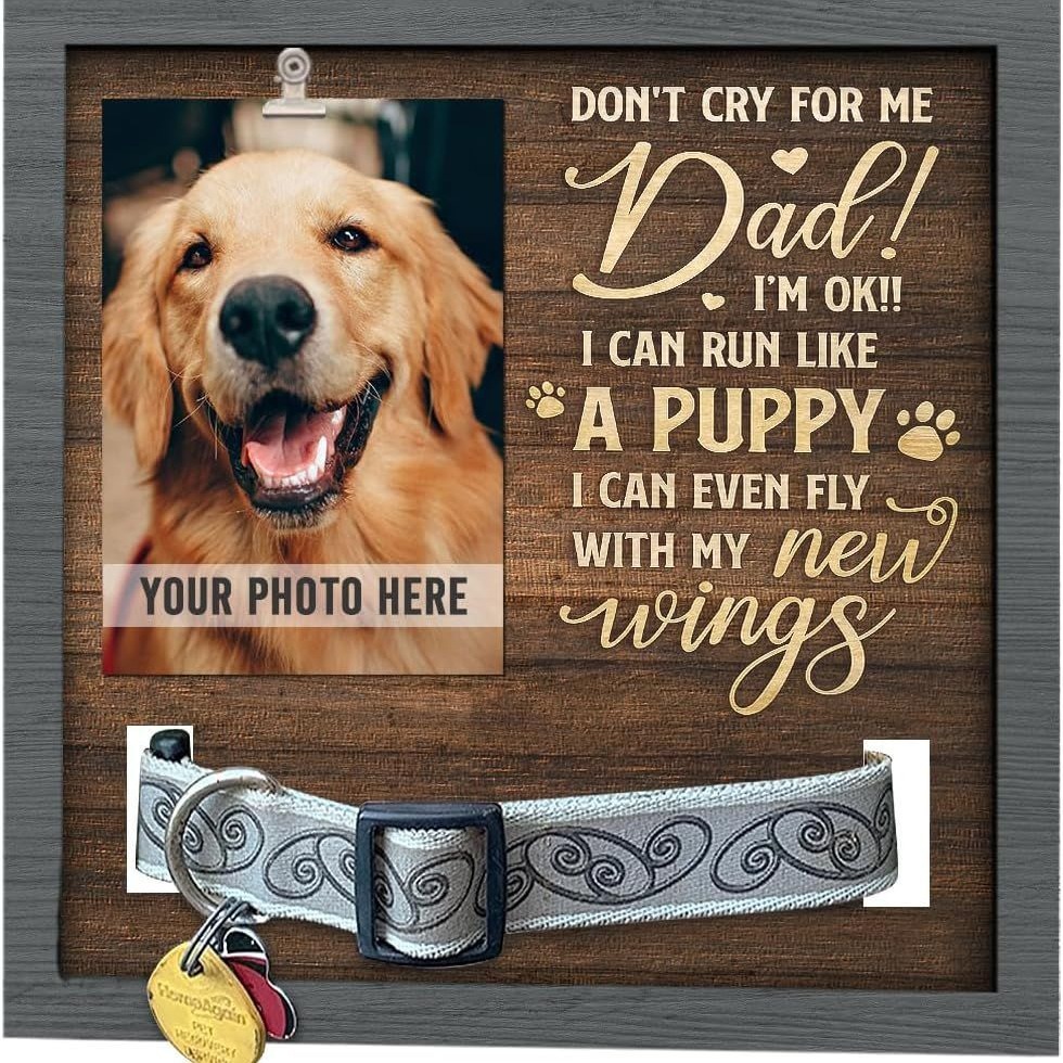 Marco DE FOTOS conmemorativo para mascotas de madera puede contener collar Mesa tridimensional marco de fotos para mascotas regalo perdido para mascotas de madera