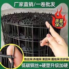 Ӳ���F�z���P�W�B�u����ȦɽȦ�؇����@�~��䓽z���ڼ�ͥ���ڷ��o