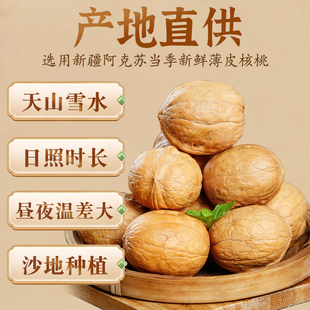 ������؛�½������½��خa��Ƥ����������ζ��Ƥ�ք�����ĺ���