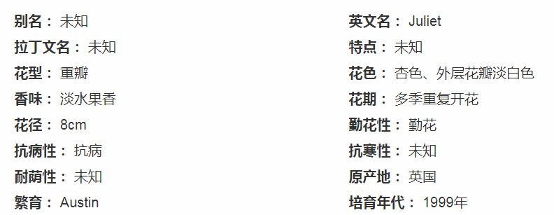 gm6WifKnzdTvlDvQUnfRc4wHTBlCZiMGNNKD