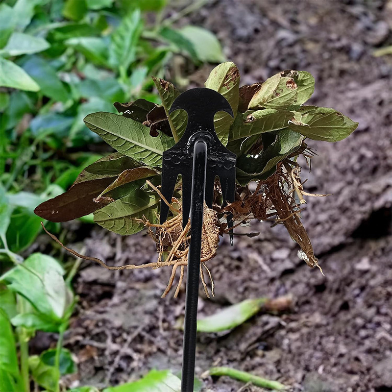 81O6JKUpOYL._AC_SL1500_