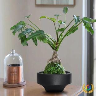 ?�o��ˮ��ˮ���~�X����ɏ˯ɏˮ�B��΢���^�쾰����ѩ�մɻ�