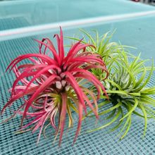 �՚��P���҃��̨��������o��ֲ����˔[���Gֲ���Զ��^���`