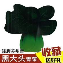 ڴ^Ϻ˷NӴ~~_KϺ߲˷N