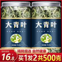 中药材 野生板蓝根叶子 正品大青叶茶 新鲜干货 散装 500克包邮