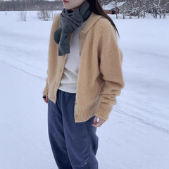 现h 韩国lerobe2025秋季新款气质优雅针织开衫羊驼毛单排扣毛衣女