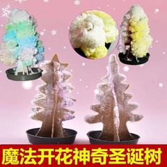 Christmas tree gift stall magic Christmas tree wishing tree blooming nostalgia hot sale kindergarten class science education activity