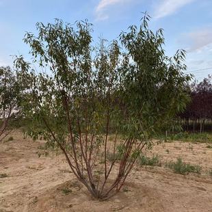 �������� ���Ҙ��� Ҏ��ȫ �@�־��^�� ����ɽ�ҳ��� �������l