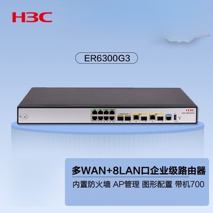 H3C Er6300G3 2*10Ge+2Ge Combo+8Ge Wired Router with 700 Machines