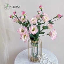 �� �ߙn��۹����ٻ����滨�[�O�߼��б���������b���