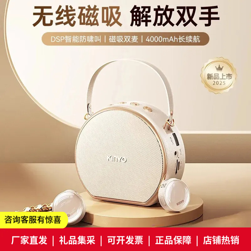 Jinyun M20 Wireless Lavalier Microphone Amplifier for Teachers, Dedicated for Teaching, with High Volume Speaker