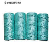 PP开网撕裂膜捆草绳拉丝制绳机械 牧草方捆绳生产线设备源头厂家